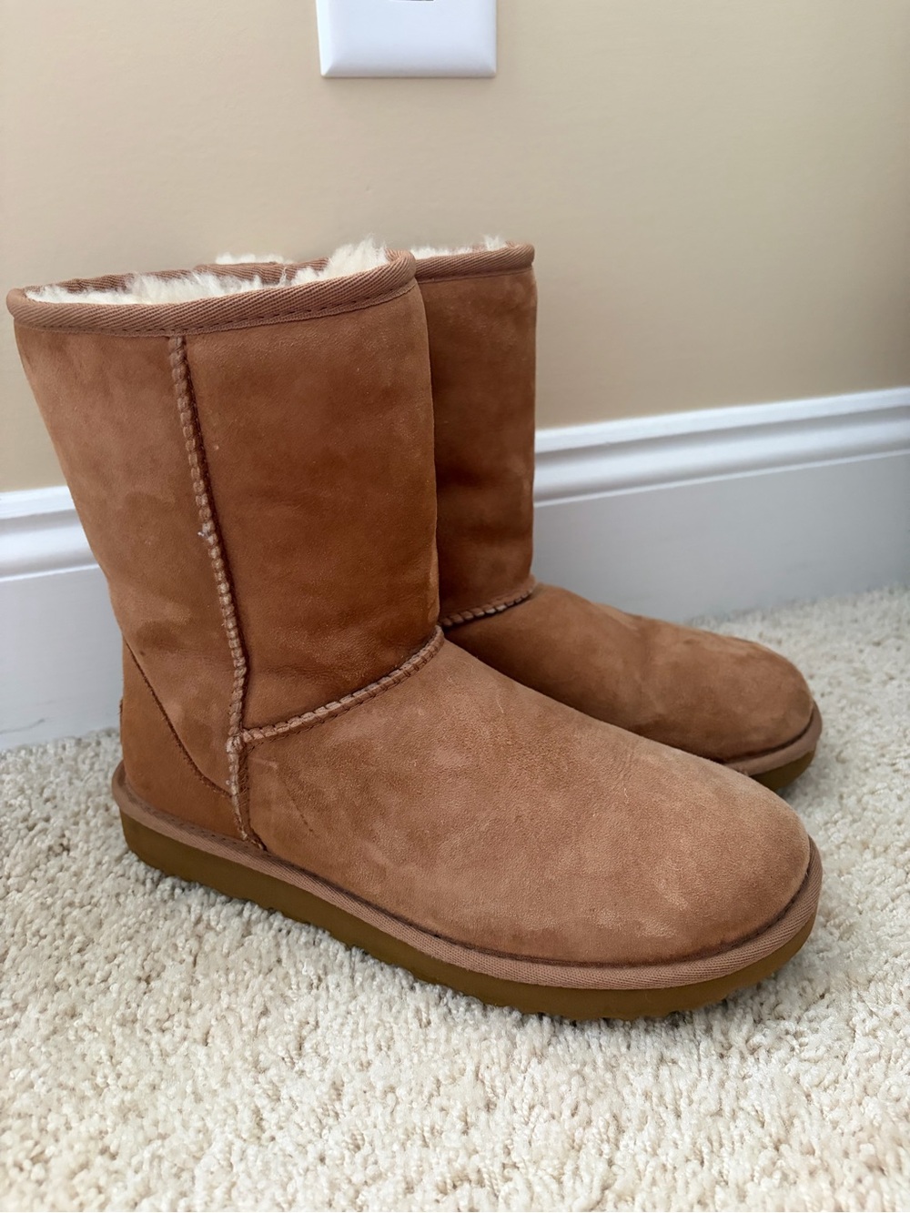 UGG Women's Chestnut Short Boot